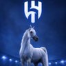 كاريزما الهلال 💪🏻💙🤍👑's profile picture