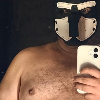 Mapache's profile picture