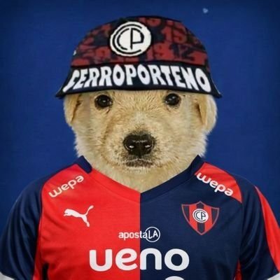 PerroCerrista's profile picture