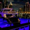 Robbo 🇦🇺 💎 profil fotoğrafı