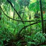Profilbild von Nature talk
