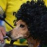 Profilbild von WilliamcgelacrasDospuntoCero