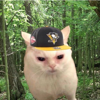 StubbyMuffin's profile picture