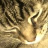 Profilbild von Marty