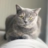 Фото профиля Günlük