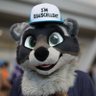 🍩 Timbit Bandit 🦝🇨🇦 🔜 MFF 的头像