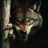 turki almohsen's profile picture