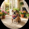 Stuey Beef 🇬🇧🏴's profile picture