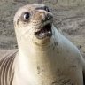 Profilbild von Eniram
