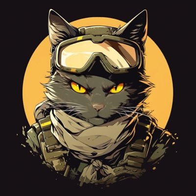Kitten Haimer's profile picture