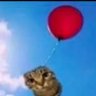 MiauMiau's profile picture