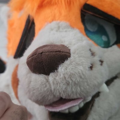 Zxmitxwah's profile picture