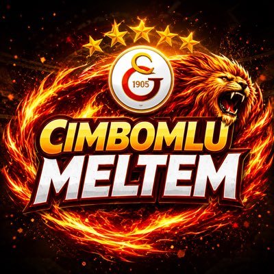 Meltem's profile picture