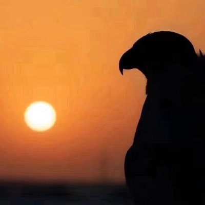 ابن صويان ⚡️F A H D⚡️الذيــابي's profile picture