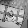 Profilbild von ᯓ★