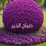 Фото профиля Mohammed A. Al Shafi
