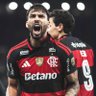 Thiago Gutembergᶜʳᶠ's profile picture
