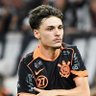 Profilbild von 🇧🇷lNelli_ˢᶜᶜᵖ🐐