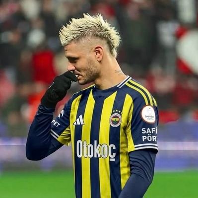 fenergozdee's profile picture
