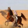 Фото профиля الـمسافـر