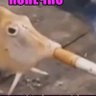 Менеджер по шитпосту 🍆's profile picture