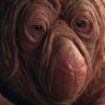 Profilbild von pat jo