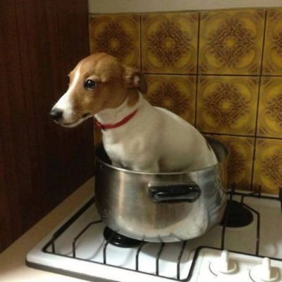 sooobinz's profile picture