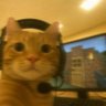 溟濛渐染 的头像