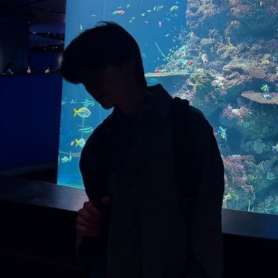 ainxcha's profile picture