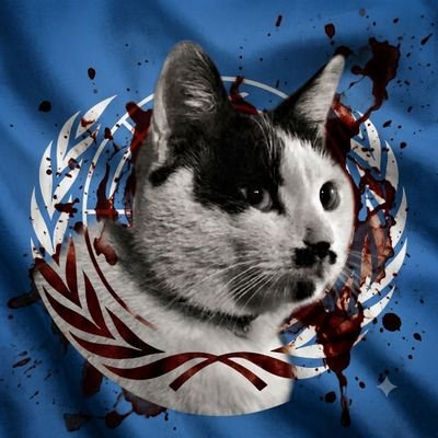ALEJOCat_Sp's profile picture