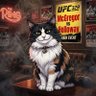 Фото профиля Calico
