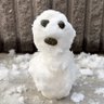 Kodo's profile picture