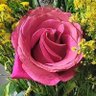 Profilbild von 💐SGTSmoopsie💐