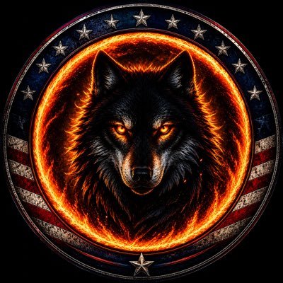 LONE🐺WOLF's profile picture
