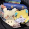 かんきつ.JR🧪🧭's profile picture
