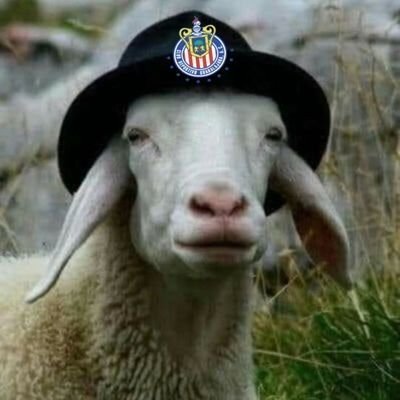leona larregui's profile picture