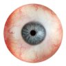 Whynot_'s profile picture