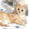 Profilbild von Harmony & Angel BeeGee