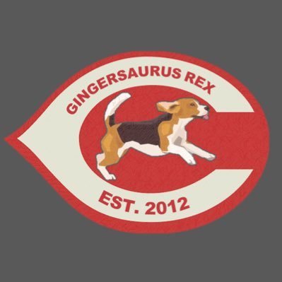 HeyGingersaurus's profile picture