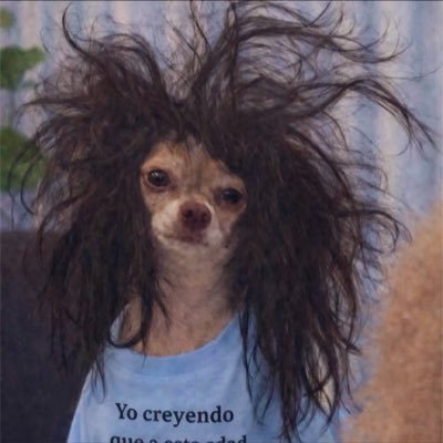 Monroebae77's profile picture