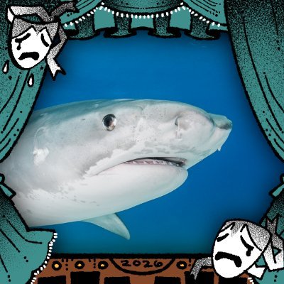 PleoTCA's profile picture