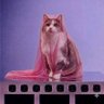 🌈AgathaTriste😻Lady's profile picture
