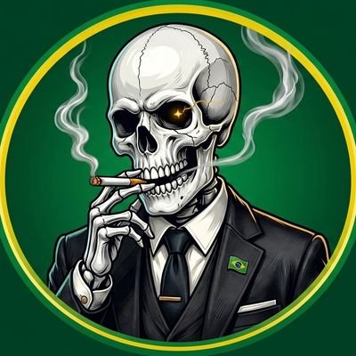 Caveira Patriota 🇧🇷's profile picture