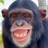 TOP GLOBAL LOSS's profile picture