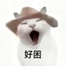 nomomo(已老实版's profile picture