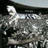 Vini #ForaPedrinho's profile picture
