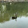 ybjh profil fotoğrafı