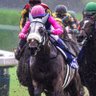 Фото профиля リンゴ農家ツシタマ　競馬日和