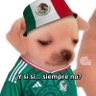 Yuli bebé🇲🇽🏳️🌈♓ 的头像