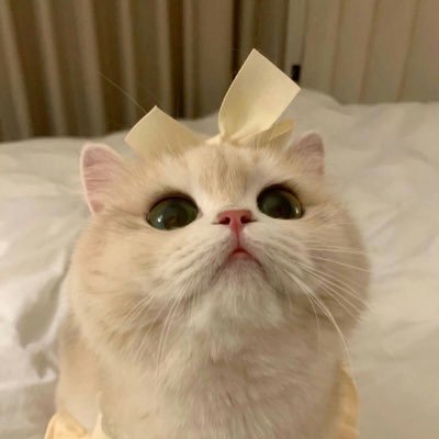 sassski07's profile picture